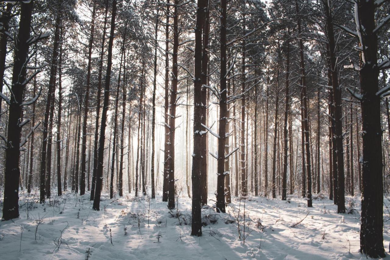 Lesna 21 Dom Poludnie Przy Puszcza Bialowieska Luka Exterior photo