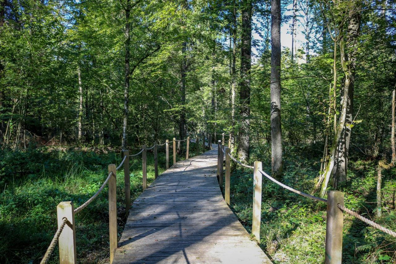 Lesna 21 Dom Poludnie Przy Puszcza Bialowieska Luka Exterior photo