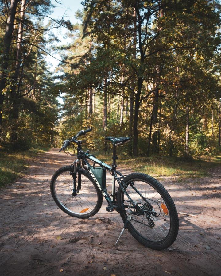 Lesna 21 Dom Poludnie Przy Puszcza Bialowieska Luka Exterior photo