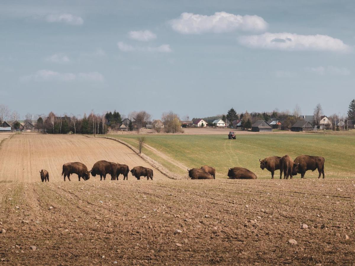 Lesna 21 Dom Poludnie Przy Puszcza Bialowieska Luka Exterior photo
