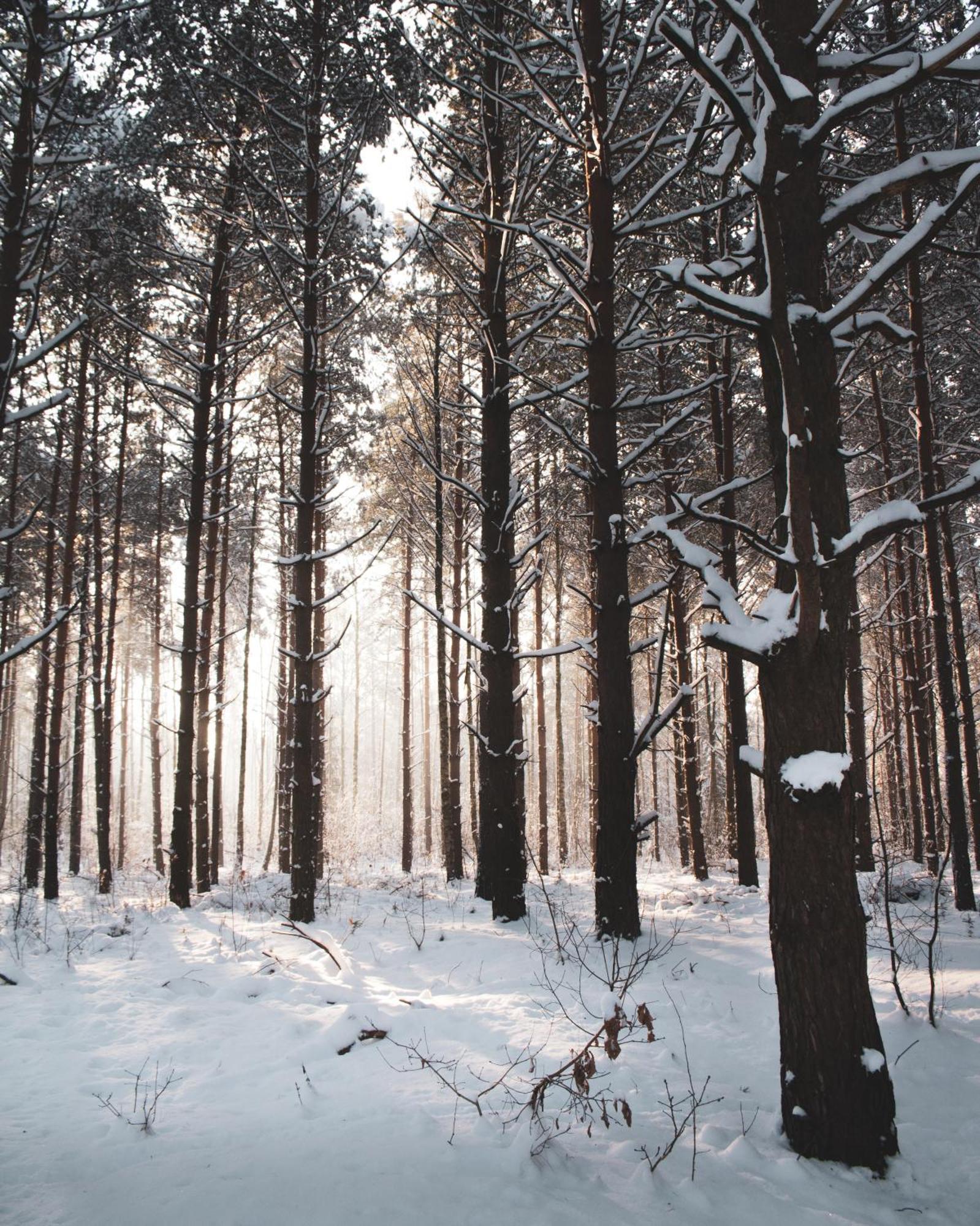 Lesna 21 Dom Poludnie Przy Puszcza Bialowieska Luka Exterior photo